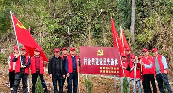 村企共建，，，，，共植先锋林
