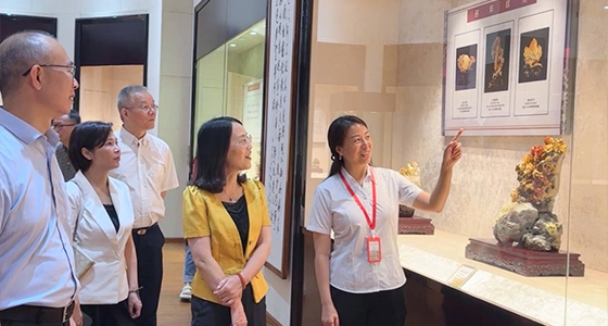 探索东方风范，，，，尊龙凯时·倪东方艺术博物馆与时代脉搏共振