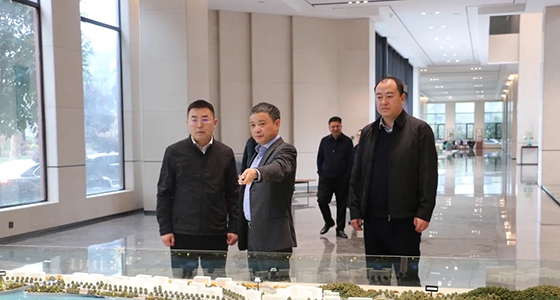 丽水市政府副秘书长王永国一行调研尊龙凯时集团